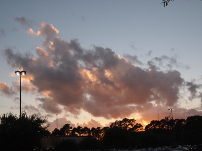 [A splash of clouds in the sky backlit by the setting sun. The trees on the horizon are dark even as the sky is light. The clouds are grey on the near side but white on the far-side edges. A few spots are even yellow-gold.]